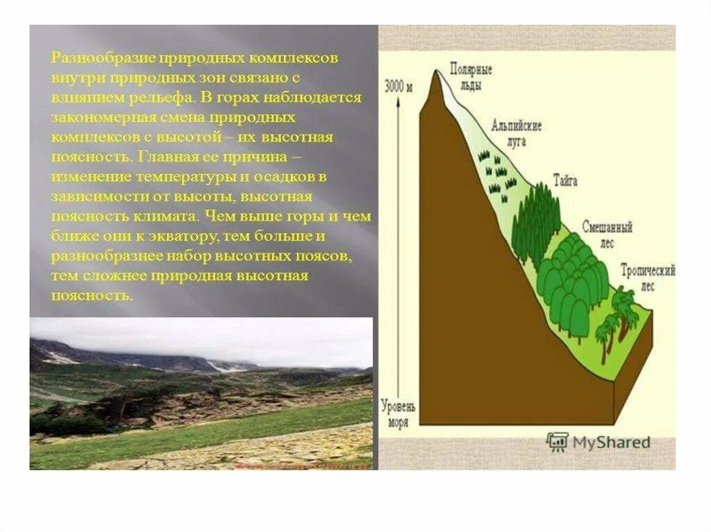 Высотная поясность и природный комплекс. Смена природных зон. Смена природных комплексов. Изменение природных зон в горах.