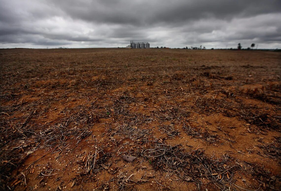 Лес после пожара. Земля после пожара. Земля после. Выгоревшая земля. Поле после пожара.