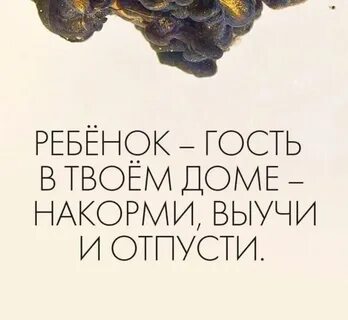 Отпусти малыша