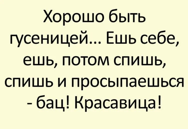 Рассказы про жизнь людей. Смешные истории. смешные истории маленькие. юмористические рассказы короткие. смешная история из жизни короткая.