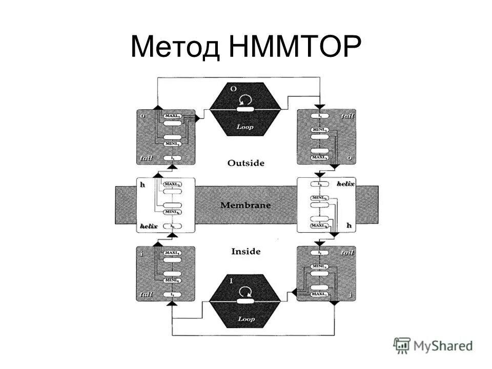 Outside loop. Outside loop. Outside loop. Цикл continue в питоне. Outside loop.