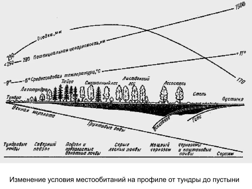 Климата и растительности взаимосвязь. Взаимосвязь почв и растительности. Взаимосвязь почв растительности и климата. Типы почв с климатом и растительностью.