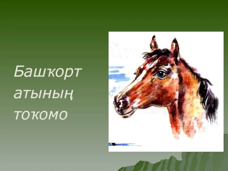 Башкорт 5 класс