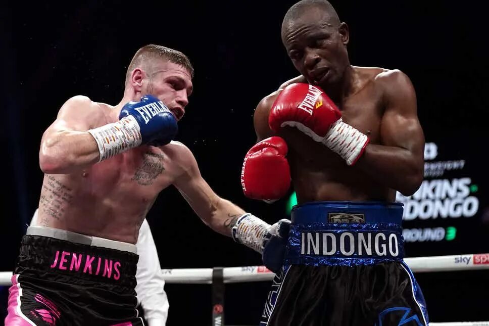 Boxing result. Арсланбека султанбекова бокс. Boxing results. Бокс картинки. Fox alantez.