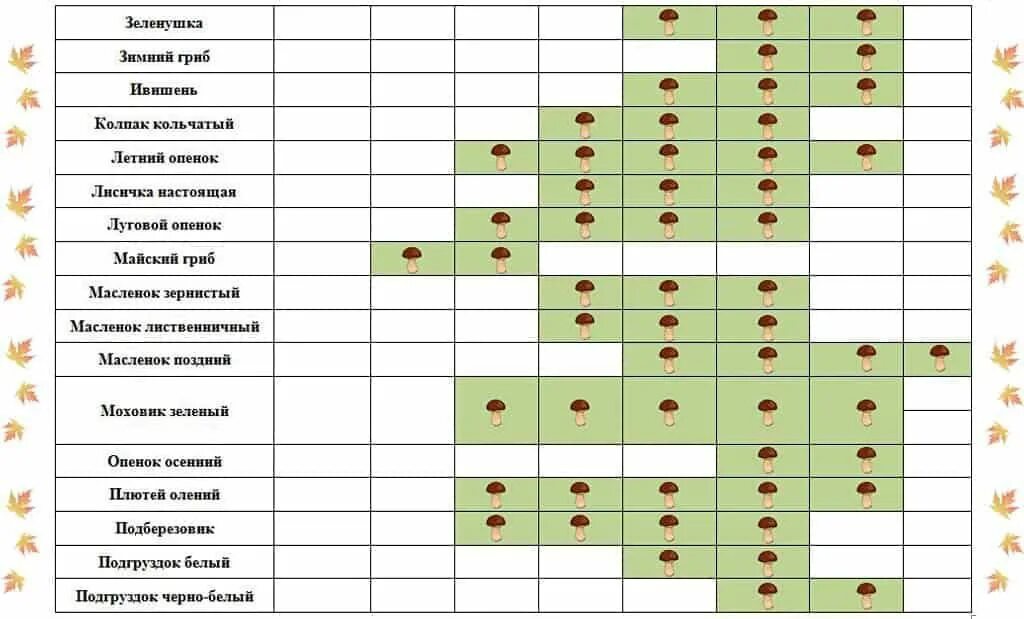 При какой температуре в лесу растут грибы. При какой температуре в лесу растут грибы. При какой температуре в лесу растут грибы. При какой температуре в лесу растут грибы. При какой температуре в лесу растут грибы.