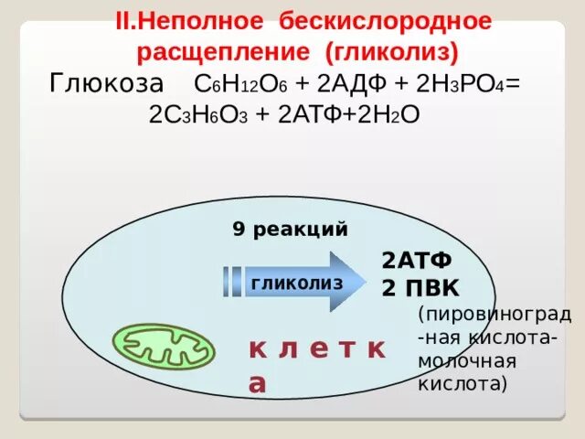 Неполное бескислородное расщепление. Бескислородное расщепление Глюкозы. Реакция бескислородного расщепления Глюкозы. Неполное кислородное ферментативное расщепление Глюкозы это.