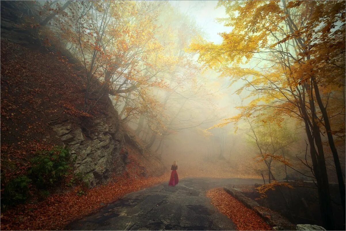 Находящий вдали. Осень одиночество. Осенняя дорога. Дорога осень перспектива. Туманная осень.