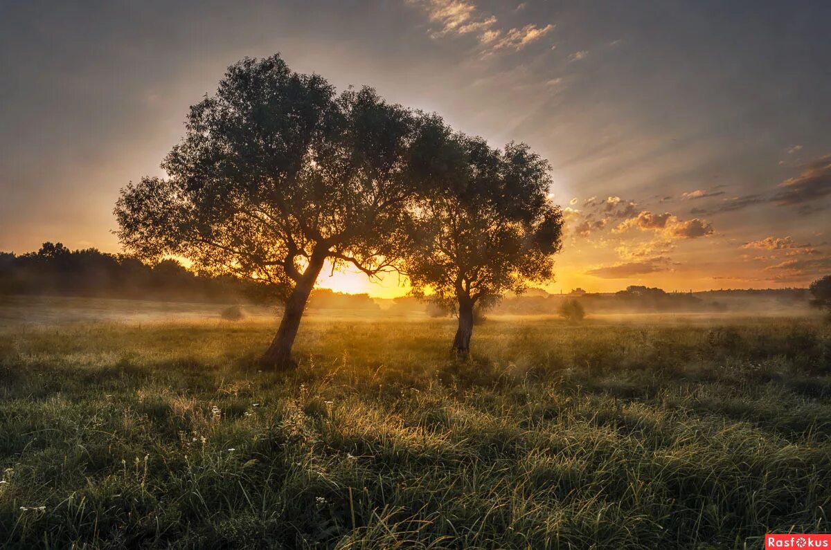 ждите солнца слушать