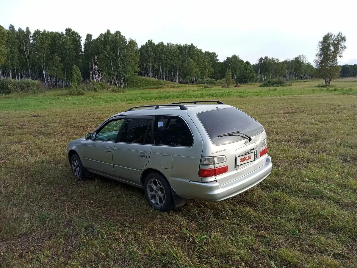 Toyota Corolla 1998 универсал. Тойота Королла 1998 универсал. Тойота Королла 110 универсал. Тойота Королла 1998 года универсал.