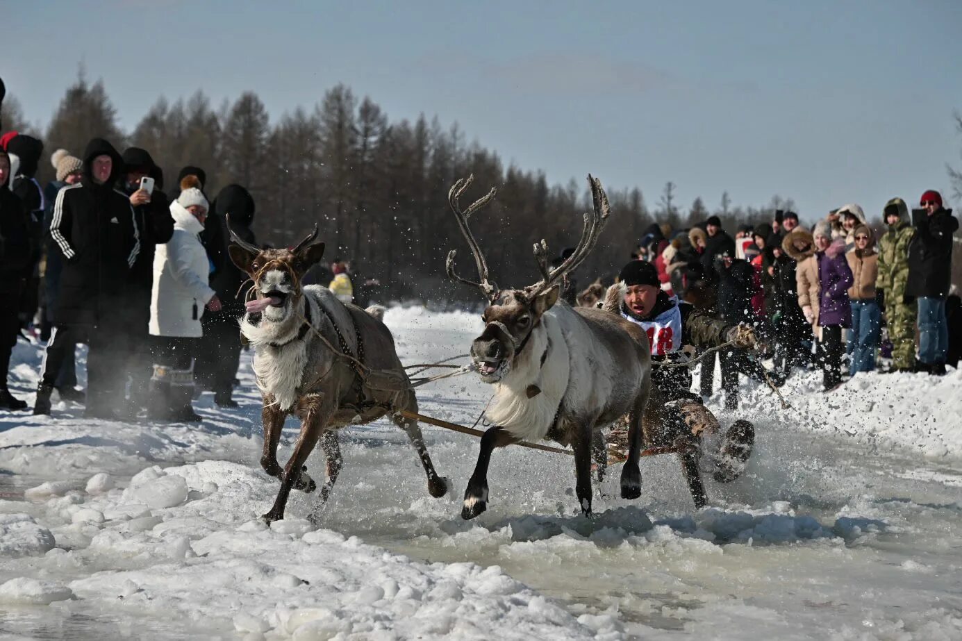 Эвенки оленеводы. Село иенгра якутия. День оленевода иенгра. Иенгра день оленевода 2001. Иенгра саха якутия.