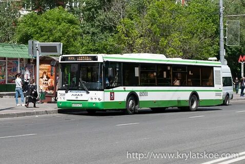 Молодежная автобусы