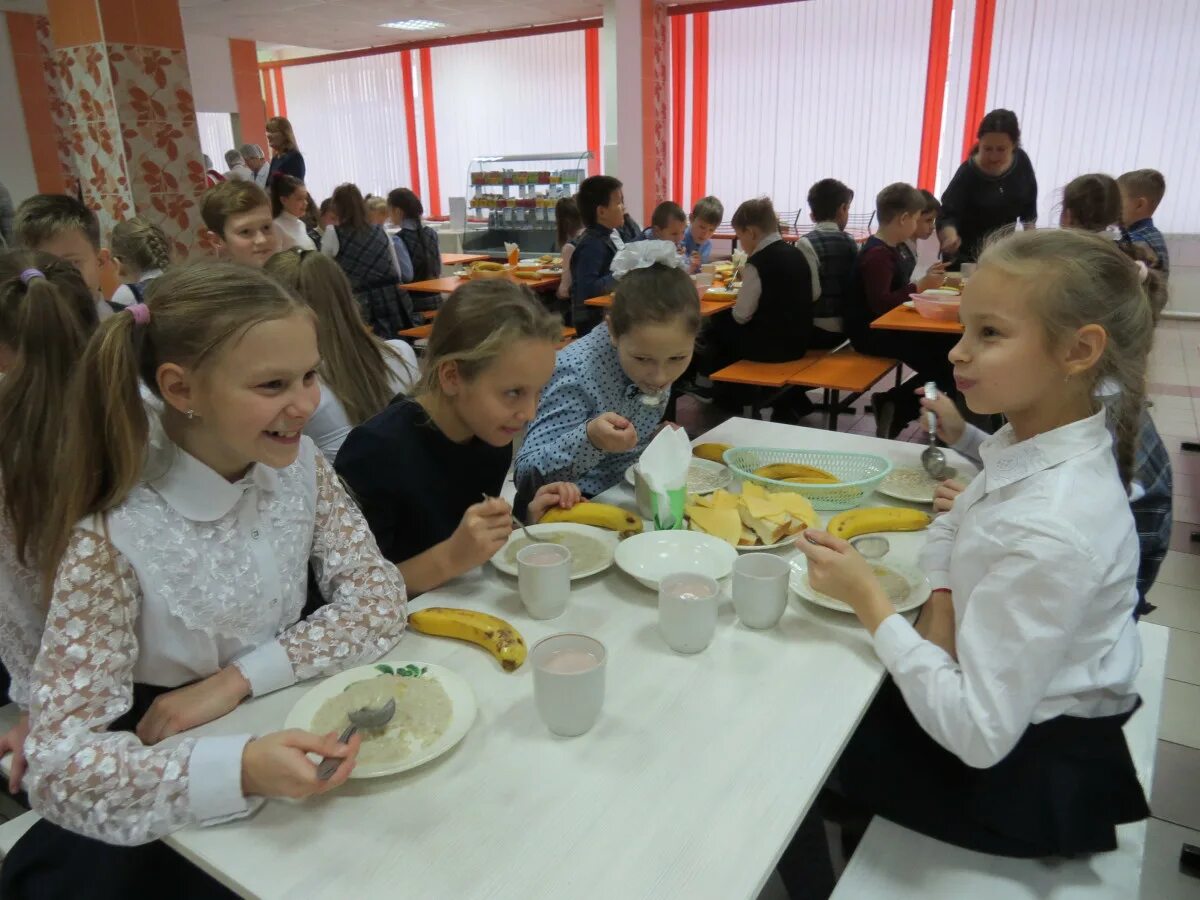 Ецмз нижний новгород. Школьное питание нижегородская область. Шведский стол в школах ульяновска. Школьное питание нижегородская область. Нижний новгород еда.