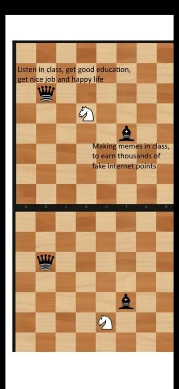 Шахматы chess1. Шахматная доска мем. Что такое мередит в шахматах. Шахматы chess1. Шахматный термин сус кван.