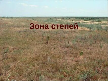 Апк степной зоны