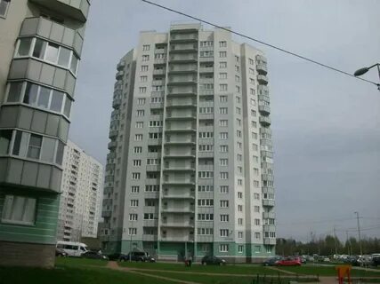 Осиновая роща 3