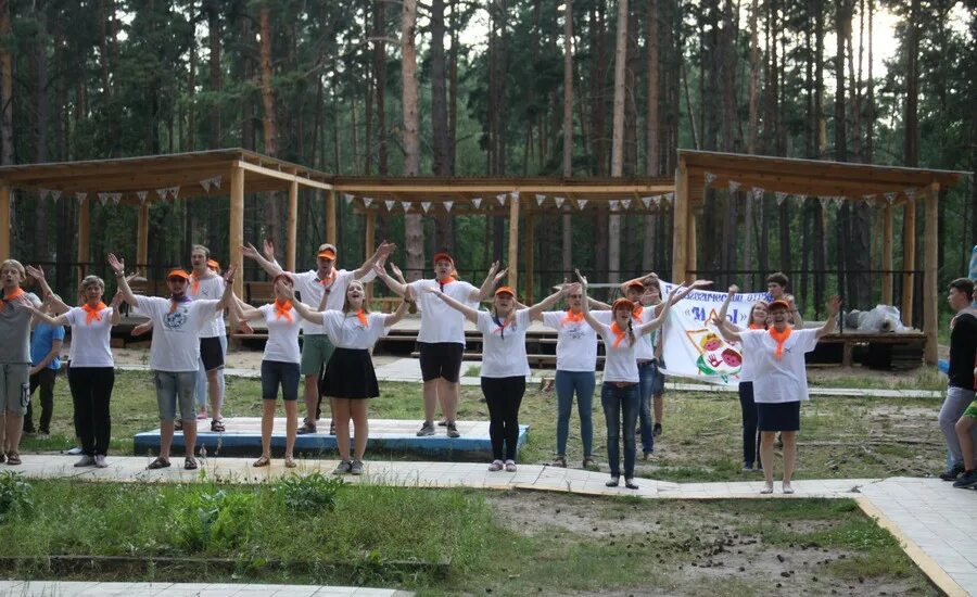 200 дол. Ульяновский Артек детский лагерь. Детский лагерь Артеково Ульяновская область. Дол Ульяновский Артек. Лагерь Артек Ульяновская район.