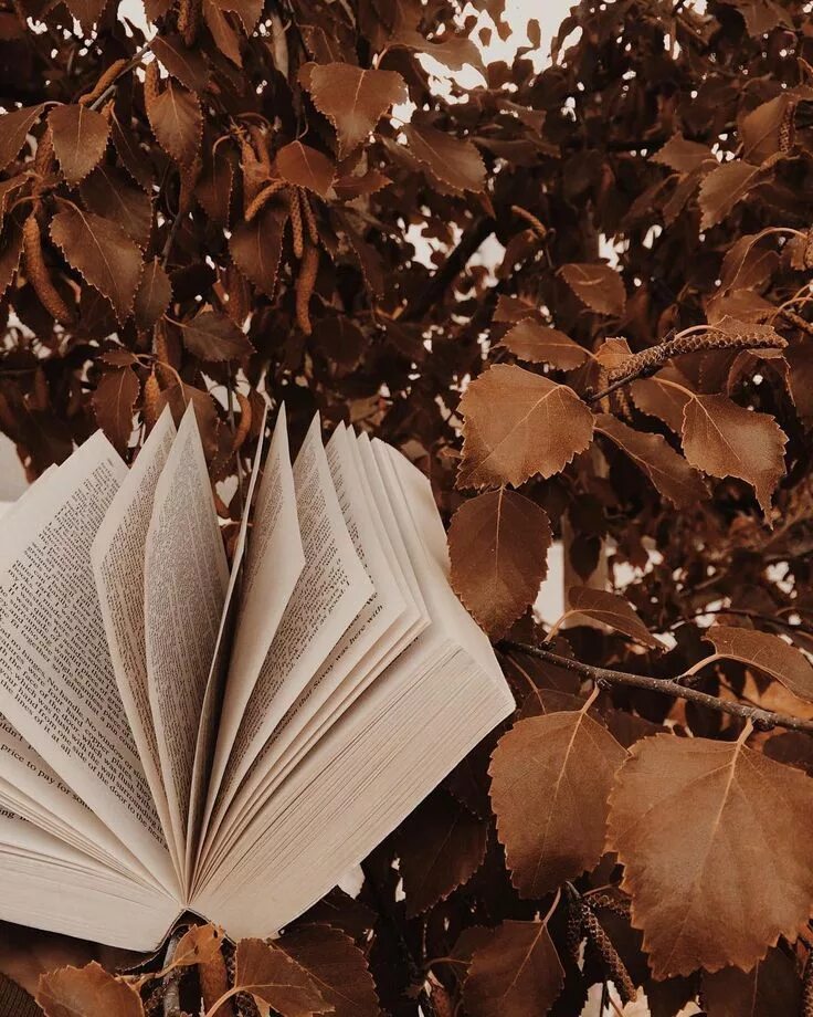 Книги с осенней тематикой. Лист книги. Книги цвета осень. Осенние листья на столе. Книги цвета осень.