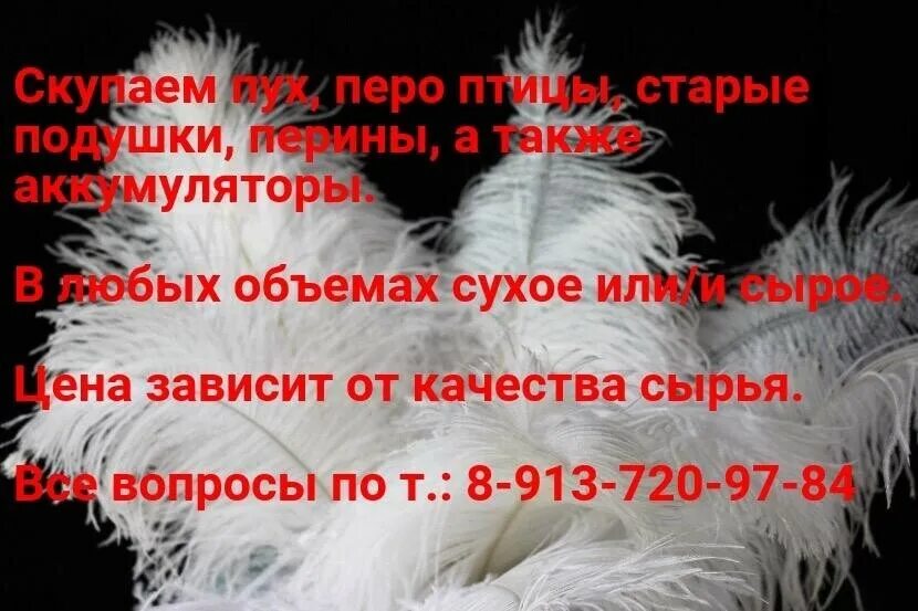 Пух перо шахты. Пух и перья. прием пуха и пера. перо скупка. скупка пуха и пера.