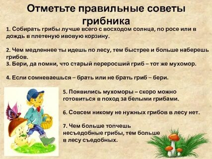 Мы знаем что когда берешь грибы лучше