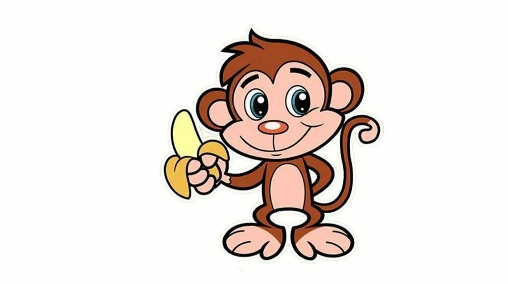 Monkey has got