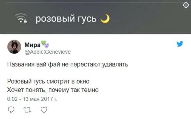 Розовый Гусь смотрит в окно хочет понять почему так. Ты как вай фай. Розовый Гусь смотрит в окно. Мем розовый Гусь смотрит в окно хочет понять почему так темно.