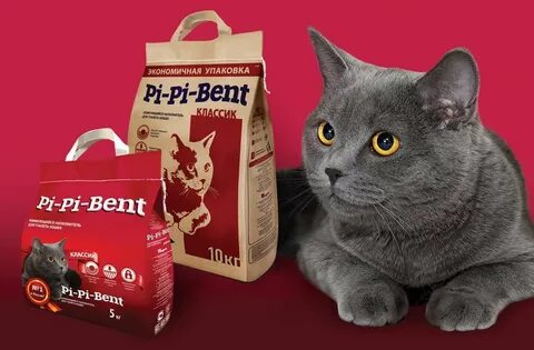 Pi pi bent классик