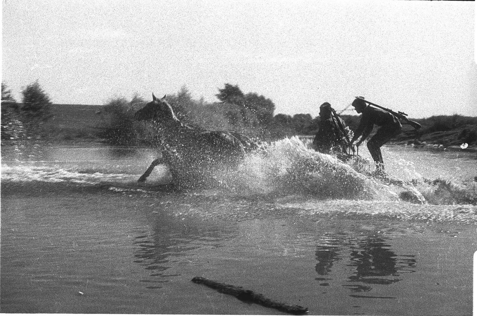 Лошадь переправа. Форсирование Вислы август 1944. Форсирование реки Нарев. Форсирование реки на лошадях в войну. Река ВОВ.