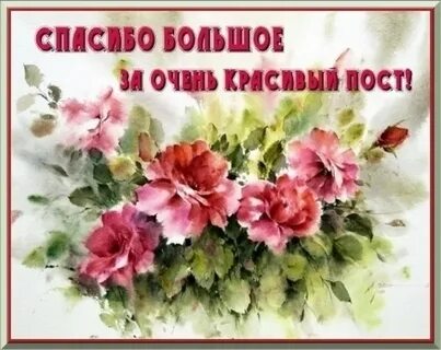 Спасибо бывшие видео