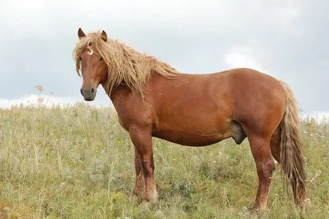 Толық адамдармен топтық порно фотосуреттер