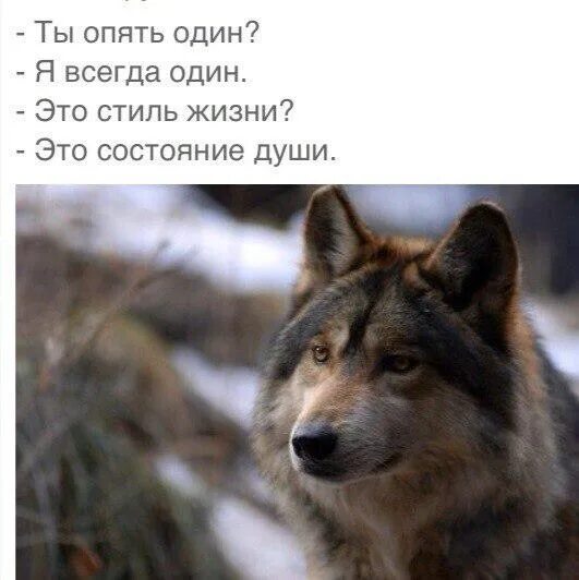 Один опять один. Всегда одна цитаты. Опять мем. Ты опять один я всегда. Ты опять не одна.