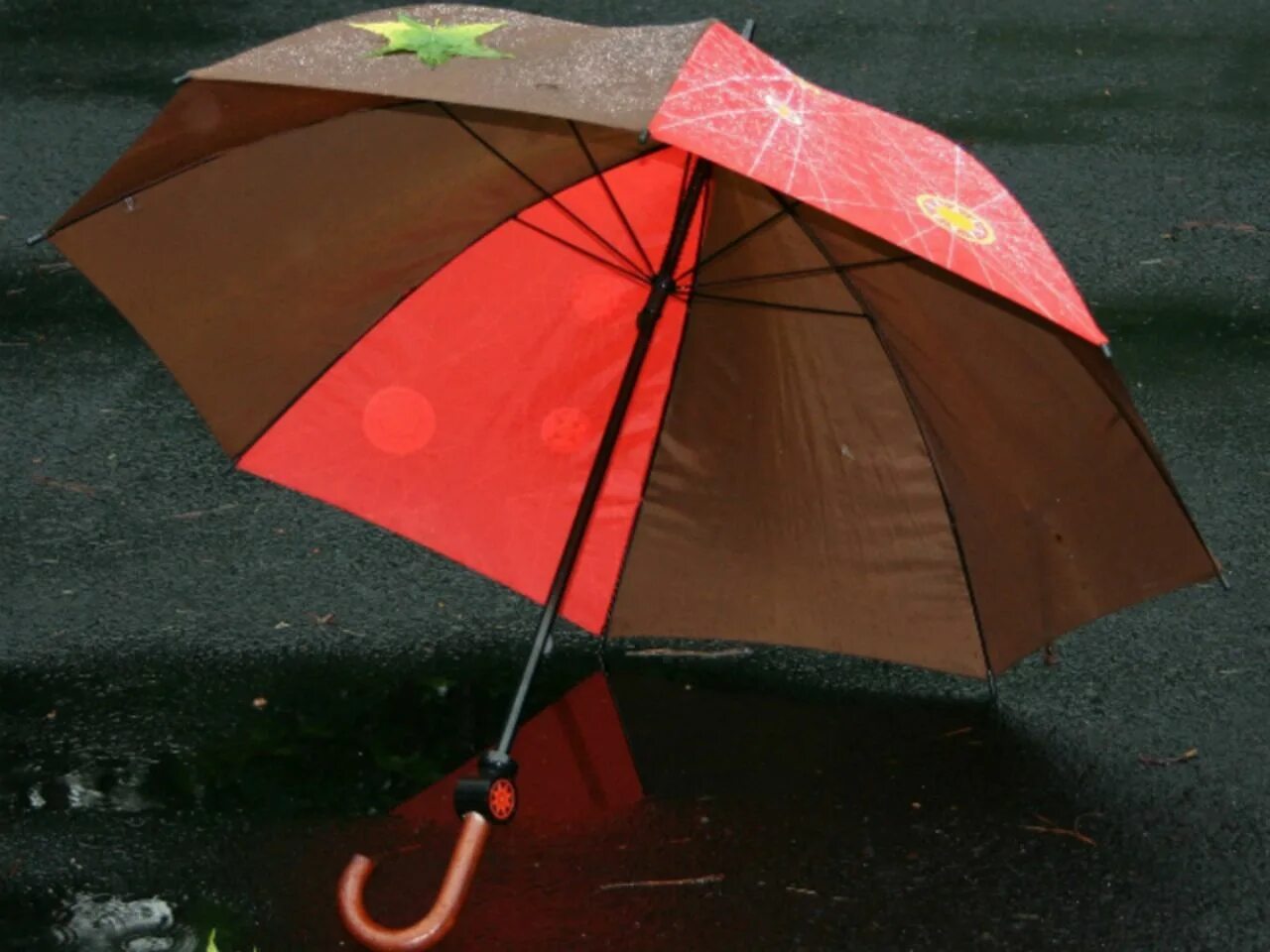 Это экзотика мокнешь без зонтика. Зонт. Дождевой зонт. Мокрый зонт. Дождь зонт.