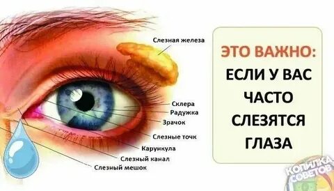 Слезится один глаз у взрослого