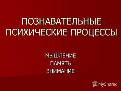 Познавательные доклады
