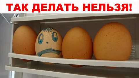 Почему яйцо портится