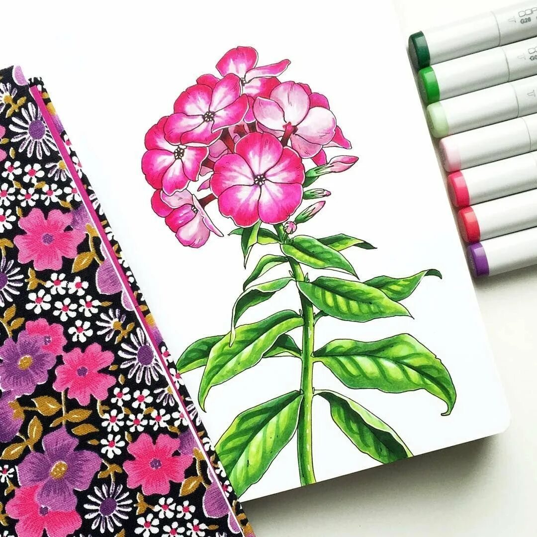 Рисунки маркерами скетчбук для начинающих легкие. Цветы фломастерами. Рисование маркерами цветы. Маркер «цветок». Рисунки для скетчбука маркерами цветы.