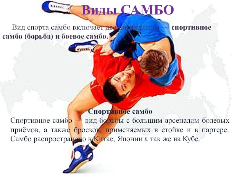 Название борьбы. Самбо вид спорта. Самбо вид борьбы. Доклад на тему самбо борьба. Сообщение на тему самбо.