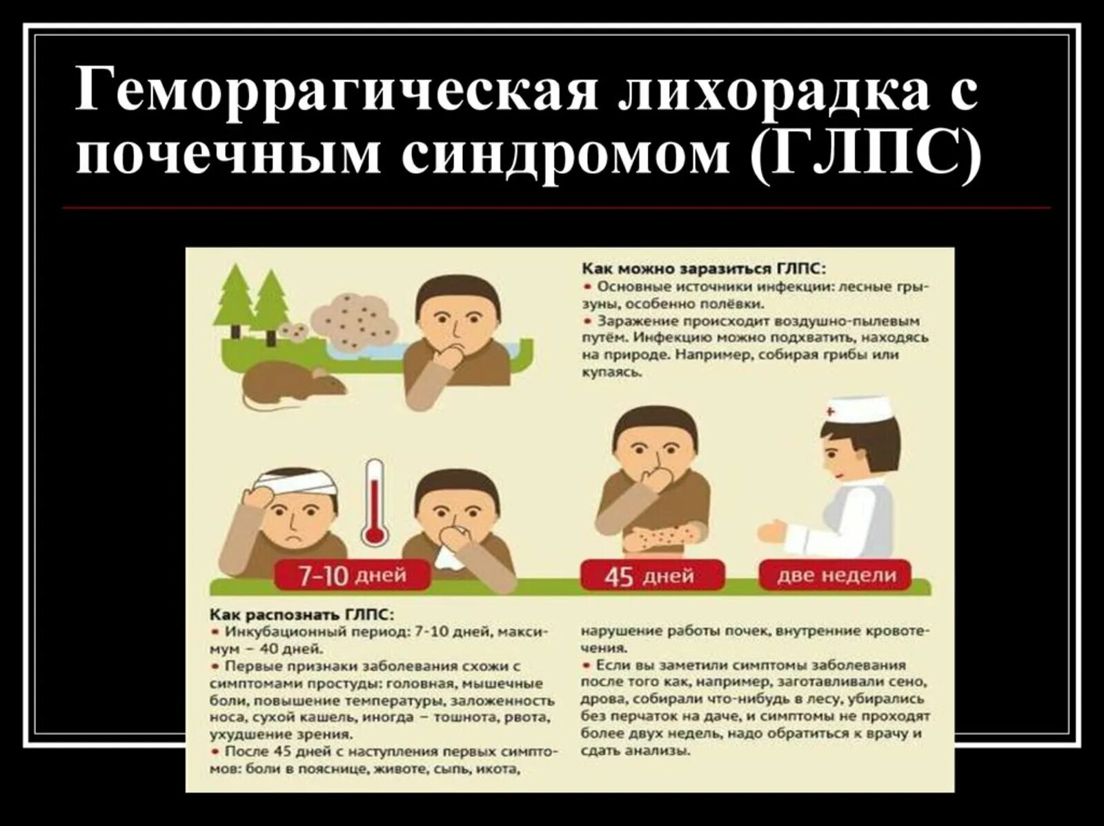 Мышиная лихорадка симптомы и лечение. Источник инфекции при глпс. глпс клинические проявления. геморрагическая лихорадка с почечным синдромом симптомы. глпс мышиная лихорадка.