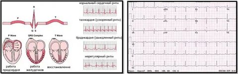 Паулина секс