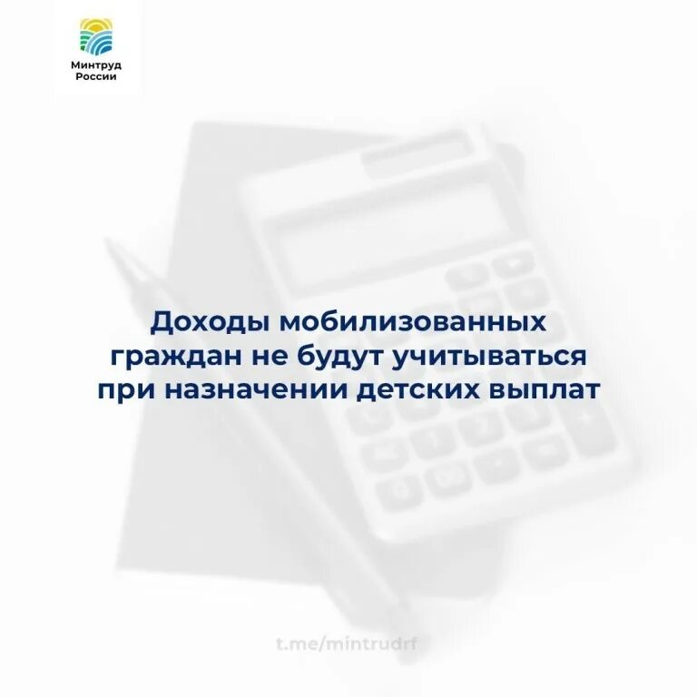 Какие есть правила. В нем не будут учтены. На чем смотрят слайды. В нем не будут учтены. Мобильный избиратель 2022.