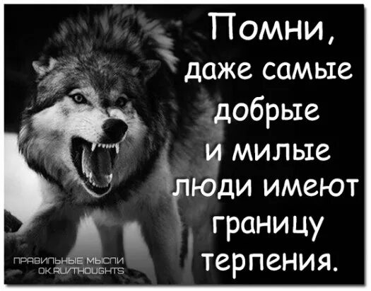 Терпение имеет предел. Даже самые добрые имеют границу терпения. Имеющий терпение имеет всех. Всякому терпению есть предел. Терпеливый имеет