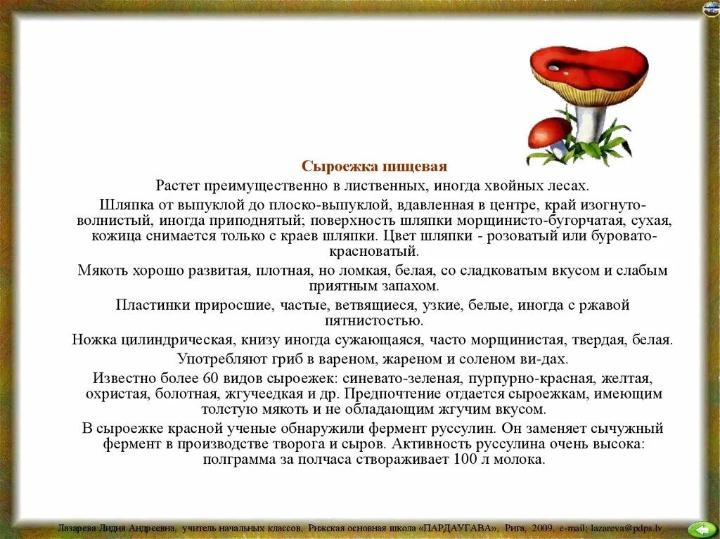Грибы. Виды грибов - презентация онлайн