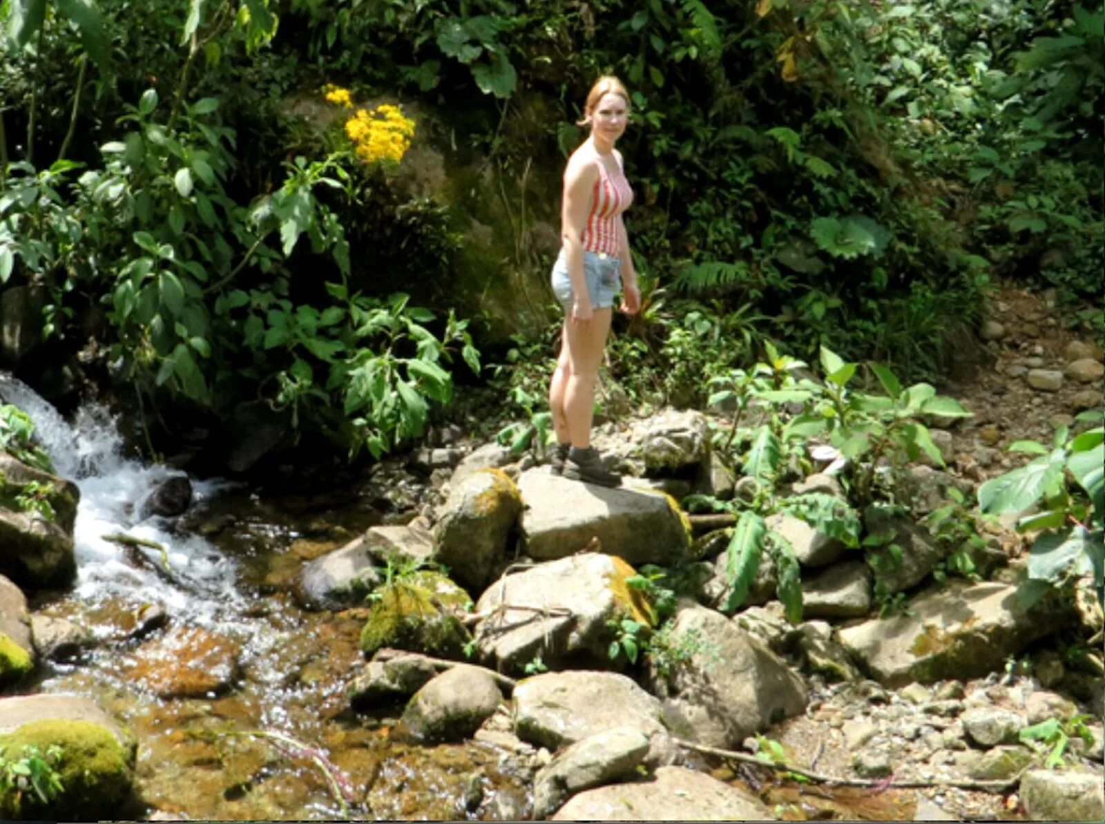 Тропа эль пианиста. Тропа эль пианиста панама. Тропа эль пианиста. Крис в панаме. Тропа эль пианиста.