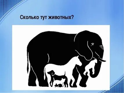 Сколько тут лет
