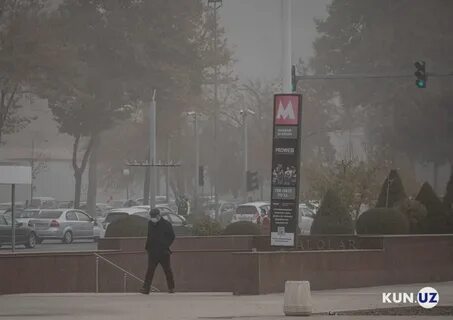 Погода в ташкенте в ноябре 2024