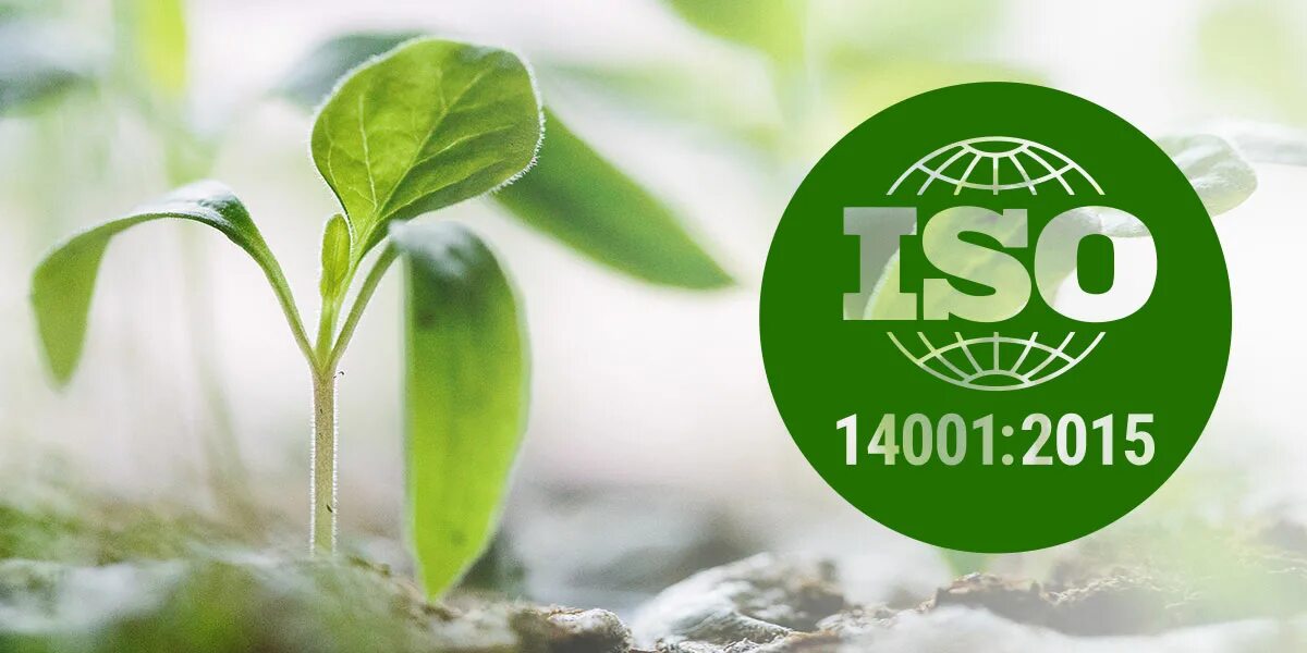 Исо 14001 документация. ИСО 14001 2015. Система экологического менеджмента ISO 14001. ISO 14001 знака экологического. ISO 14001 2015.