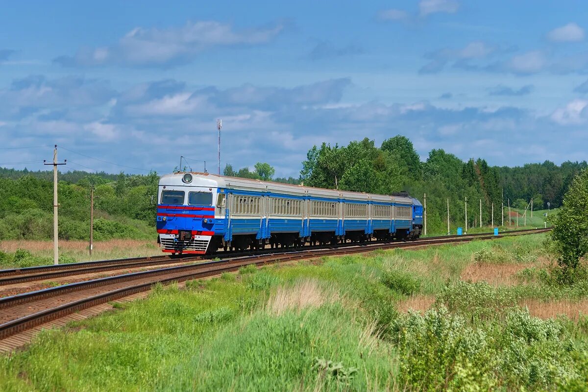 Дрб1. Ддб1 дизель-поезд. Орша м. Могилев поезд. Орша-центральная ж.