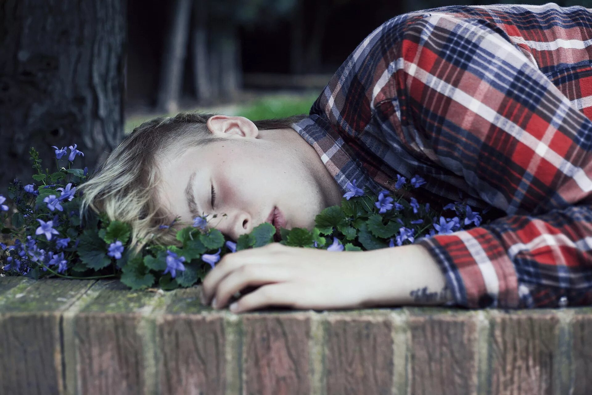 Is sleeping in the garden. Парень лежит на траве. Парень лежит в цветах. Человек лежит в цветах. Подросток с цветами.