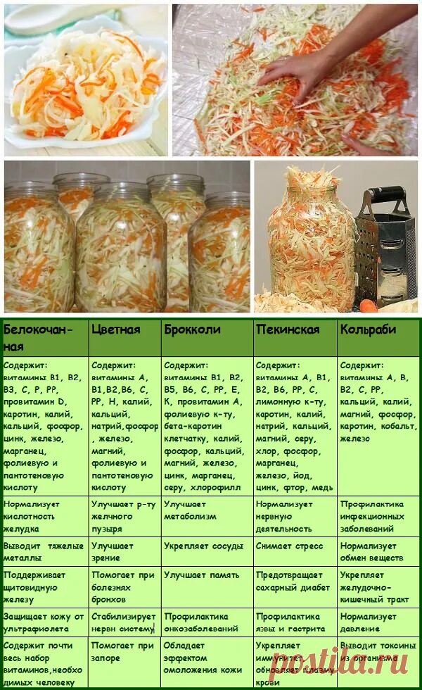 Норма соли на кг капусты при квашении. Рецепт квашеной капусты в картинках. квашеная капуста пропорции. пропорции для квашения капусты. пропорции квашеной капусты с солью и морковью.