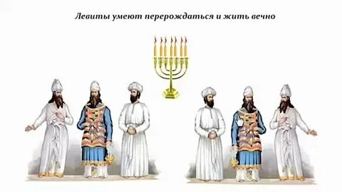 Левит это
