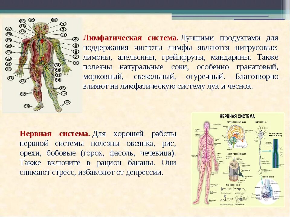 Улучшение работы лимфатической системы. Продукты для чистки лимфосистемы. Препараты для очищения лимфосистемы. Упражнения для очищения лимфатической системы.